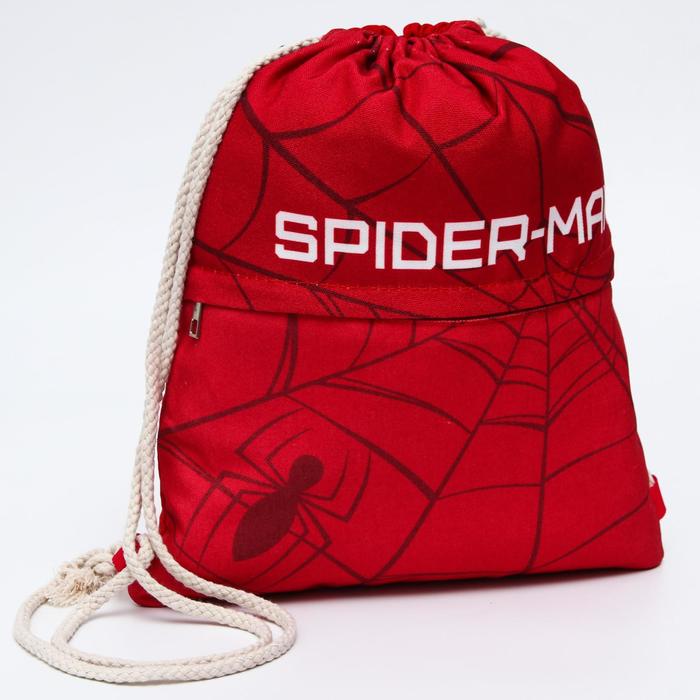 Мешок для обуви с карманом, 28х37 см, Человек-паук цена и фото