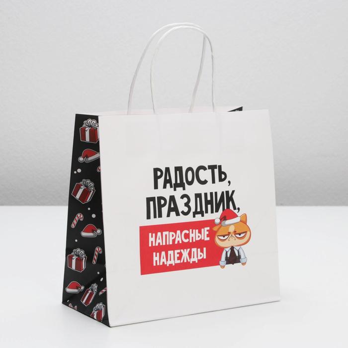 Пакет подарочный «Напрасные надежды», 22 × 22 × 11 см