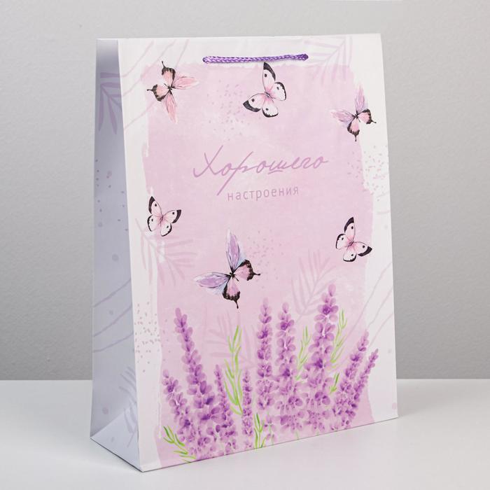 

Пакет подарочный ламинированный, упаковка, Special for you, L 28 х 38 х 9 см