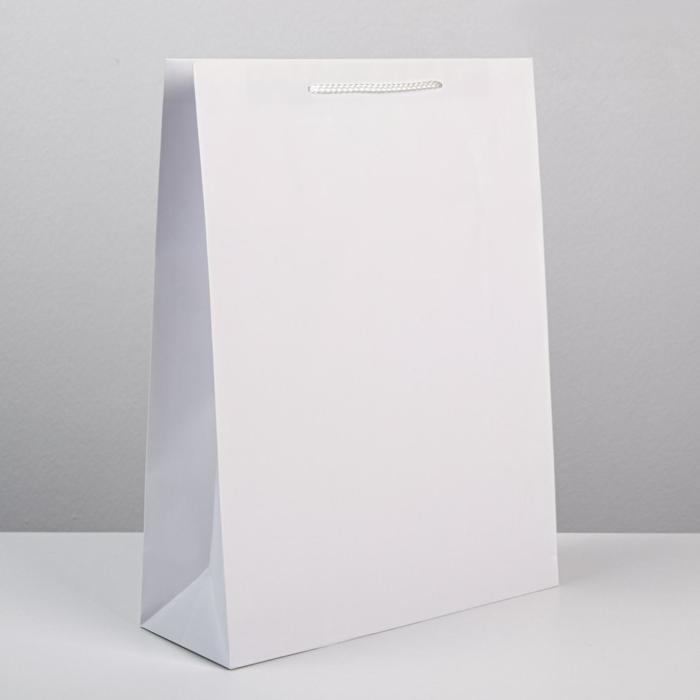 Пакет подарочный ламинированный, упаковка, «Белый», L 28 х 38 х 9 см