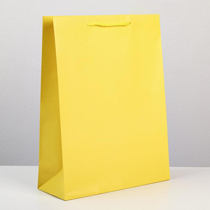 Пакет подарочный ламинированный, упаковка, «Жёлтый», L 28 х 38 х 9 см пакет ламинированный джентльмен l 28 х 38 х 9 см