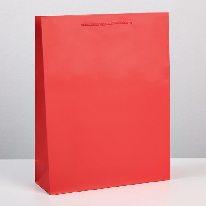 Пакет подарочный ламинированный, упаковка, «Красный», L 28 х 38 х 9 см пакет ламинированный джентльмен l 28 х 38 х 9 см