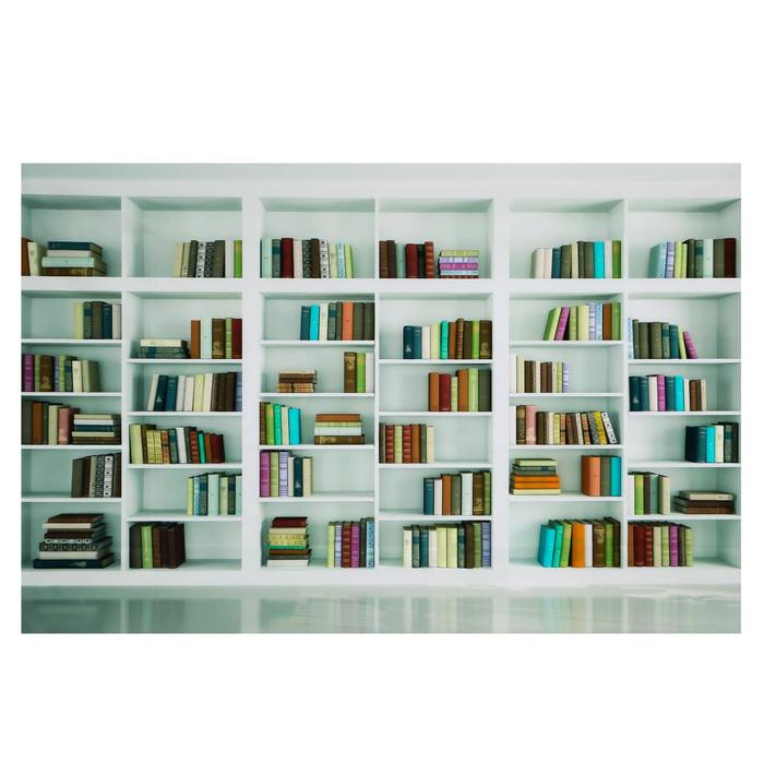 

Фотофон винил "Книжный клуб" 100х150 см