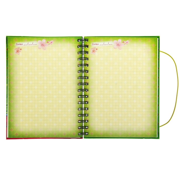 Ежедневник на гребне "Мои любимые занятия", твёрдая обложка, А5, 96 листов