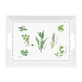 

Поднос Herbarium, 51×38 см