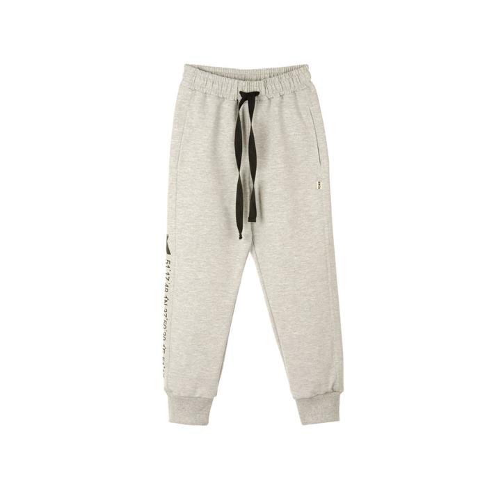 Брюки для мальчика, рост 110-116 см, цвет серый