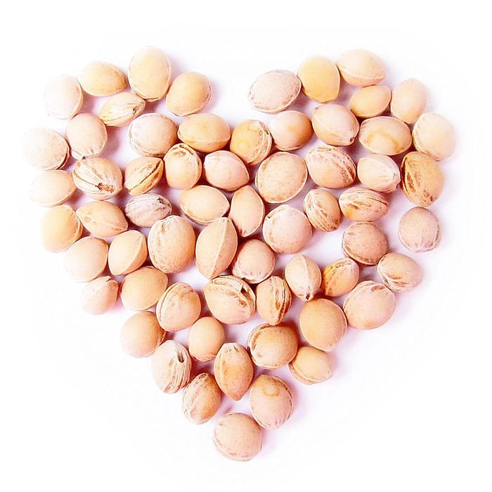 Развивающая игрушка с вишнёвыми косточками "Попугай. Доктор мякиш"