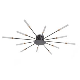 

Люстра 1948/12 LED 24Вт черный 80х80х6 см