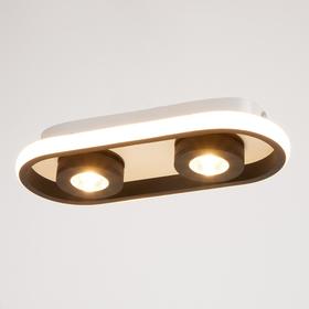 

Спот 1943/2 LED 20Вт 4000К бело-черный 30х13х5 см