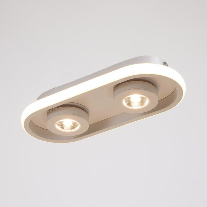 

Спот 1943/2 LED 20Вт 4000К белый 30х13х5 см