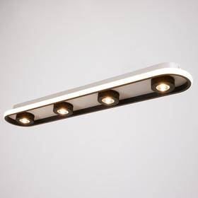 

Спот 1943/4 LED 36Вт 4000К бело-черный 80х15х7-15 см