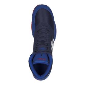 

Борцовки мужские, Asics SNAPDOWN 2, размер 38.5 (J703Y-400)