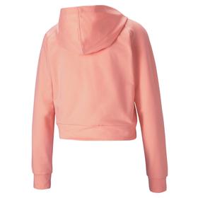 

Толстовка женская, Puma Rtg Full-Zip Hoodie, размер 48-50 (58648526)