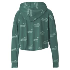 

Худи женское, Puma Amplified Light Weight Hoodie, размер 42-44 (58695445)