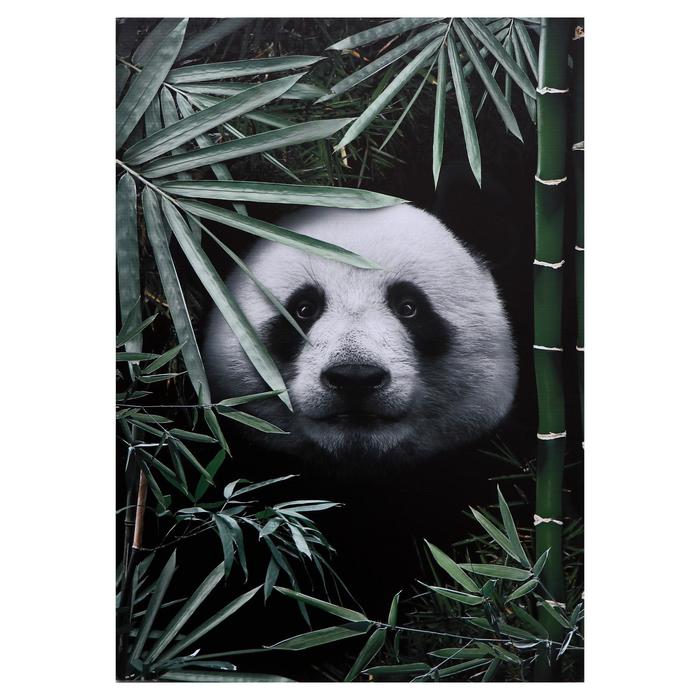 Картина на холсте Панда в листьях 50х70 см картина на холсте абстракция блистание 50х70 см