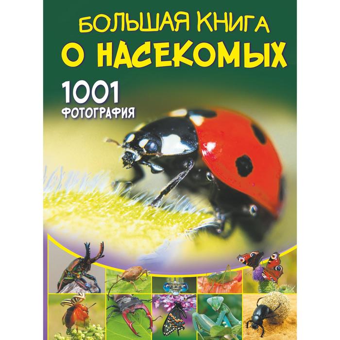 фото Большая книга о насекомых. 1001 фотография. спектор а.а. аст