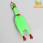 Игрушка пищащая "Удивленная курица" для собак, 28 см, ярко-зелёная