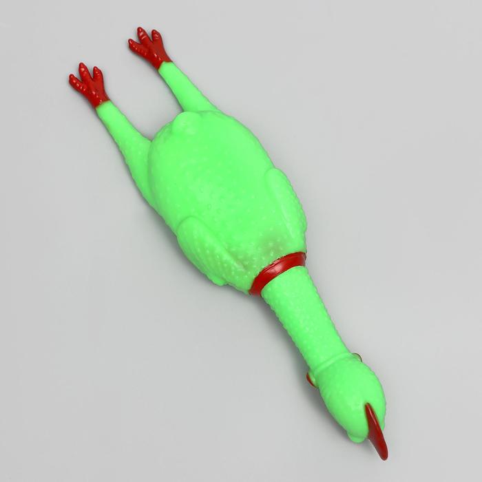 Игрушка пищащая "Удивленная курица" для собак, 28 см, ярко-зелёная