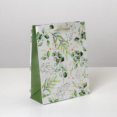 Пакет ламинированный Present for you, ML 21 х 25 х 8 см