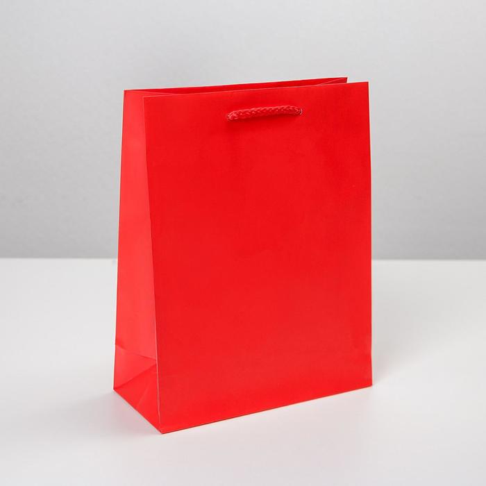 Пакет подарочный ламинированный, упаковка, «Красный», MS 18 х 23 х 8 см пакет ламинированный красный ms 18 х 23 х 8 см