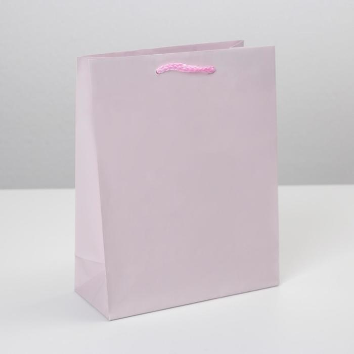 Пакет подарочный ламинированный, упаковка, «Розовый», MS 18 х 23 х 8 см