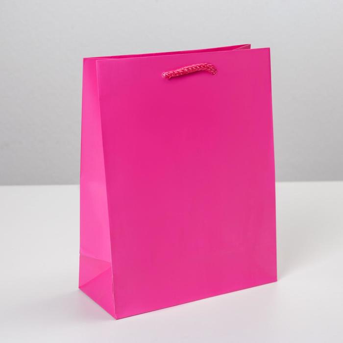 Пакет подарочный ламинированный, упаковка, «Фуксия», MS 18 х 23 х 8 см