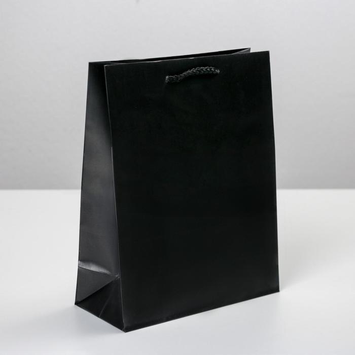 Пакет подарочный ламинированный, упаковка, «Чёрный», MS 18 х 23 х 8 см пакет ламинированный красный ms 18 х 23 х 8 см