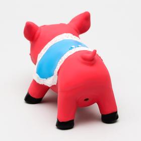

Игрушка для собак "Хрюшка", латекс, 12 см, красная