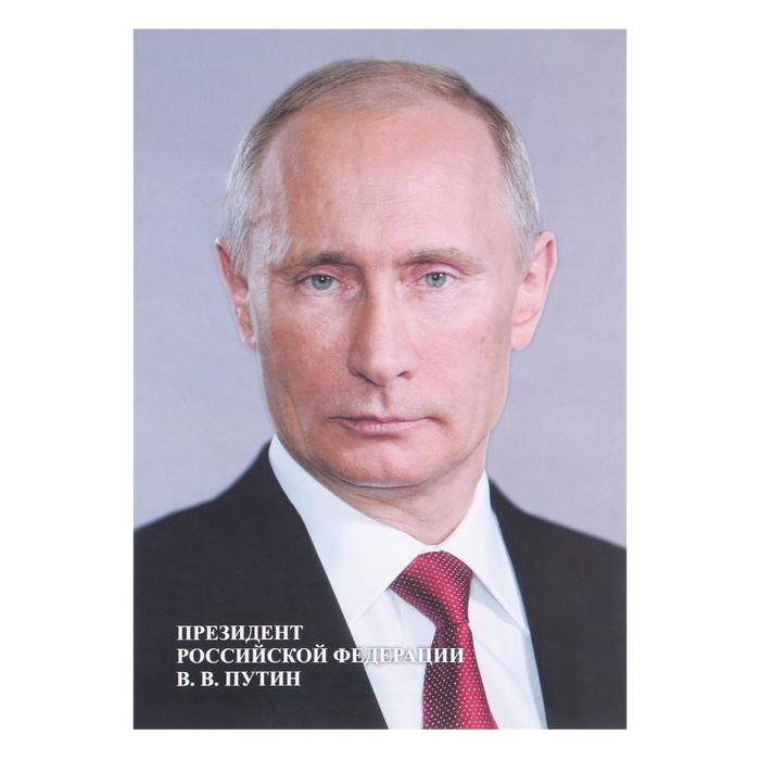 Плакат Портрет Президента РФ А4 портрет президента рф в в путина