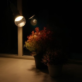 Светодиодная лампа для растений ( фитолампа дневного света ) Luazon 9 Вт, E27, 220В