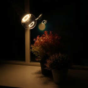 Светодиодная лампа для растений ( фитолампа дневного света ) Luazon 15 Вт, E27, 220В