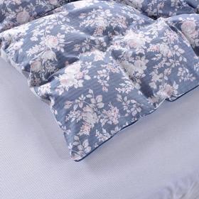 

КПБ «Гретель» 2 сп, размер 230х250 см, 180х220 см, 50х70 см - 2 шт