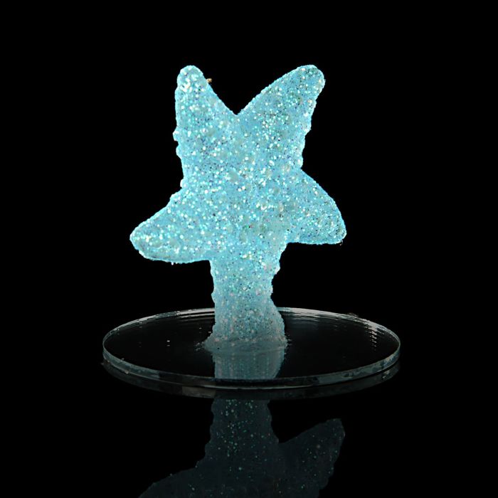 Сувенир "Морская звезда", МИКС