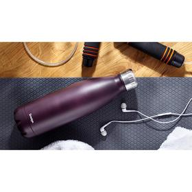 

Термобутылка 500 мл Autumn Berry