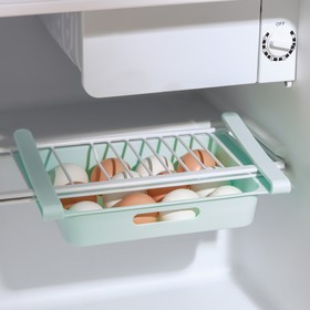 Полка для яиц в холодильник, подвесная, 12 ячеек, 26×17×5 см, цвет МИКС Ош