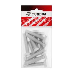 

Болт с шестигр. головкой TUNDRA krep, DIN 933, М10х50, к.п. 8.8, цинк, 10 шт.