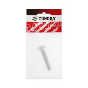 

Болт с шестигр. головкой TUNDRA krep, DIN 933, М10х50, к.п. 8.8, цинк, 1 шт.