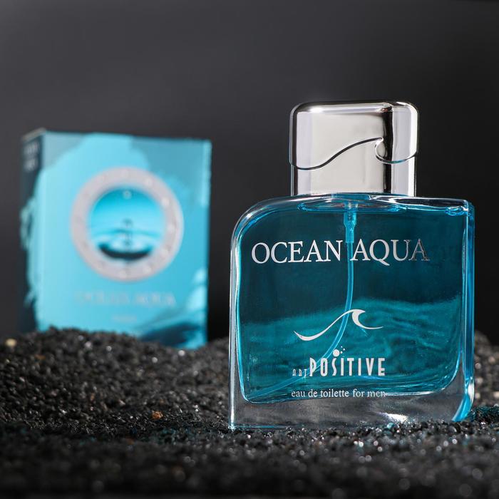 Туалетная вода мужская OCEAN AQUA, 100 мл туалетная вода мужская absolute aqua 100 мл today parfum 2154667