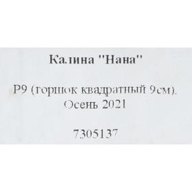 

Калина декоративная Нана Р9, 1 шт , Высота от 5 см , Осень 2022