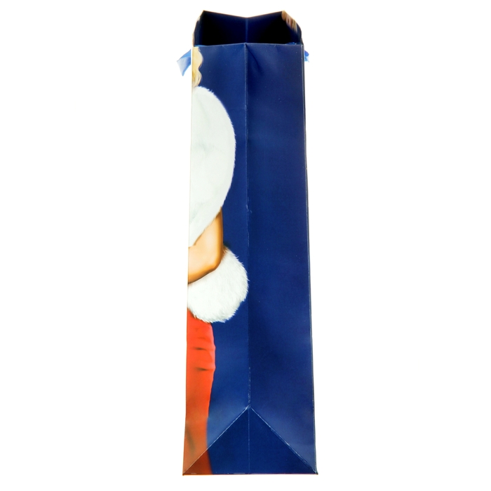 Пакет ламинированный вертикальный (стразы) «Королеве», MS 18 × 23 × 10 см