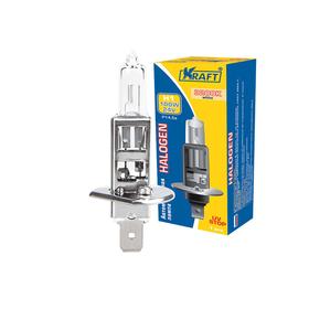 

Автолампа H1, 24v100w, (P14,5s)