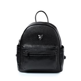 

Рюкзак, отдел на молнии, цвет черный 28х30,5х12,5см