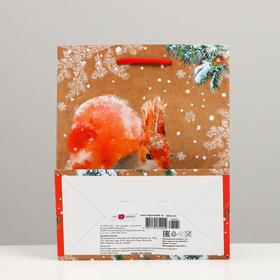 

Пакет подарочный "Белка на ветке", 18 х 22,3 х 10 см