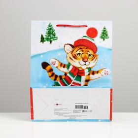 

Пакет подарочный "Тигрёнок на льду", 26 х 32 х 12 см