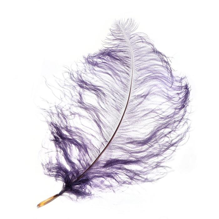 Перо для декора, длина: от 45 до 60 см, цвет серый перо для декора длина от 45 до 60 см цвет серый