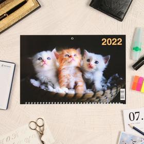 

Календарь квартальный трио "Коты, 2022 - 1" 31 х 69 см