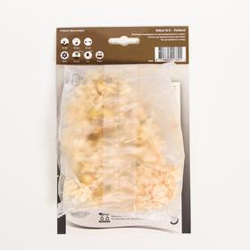 

Рябчик шахматный Микс 7/+ р/р, 15 шт