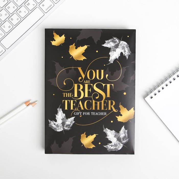 

Ежедневник в подарочной коробке You the BEST TEACHER, 80 листов