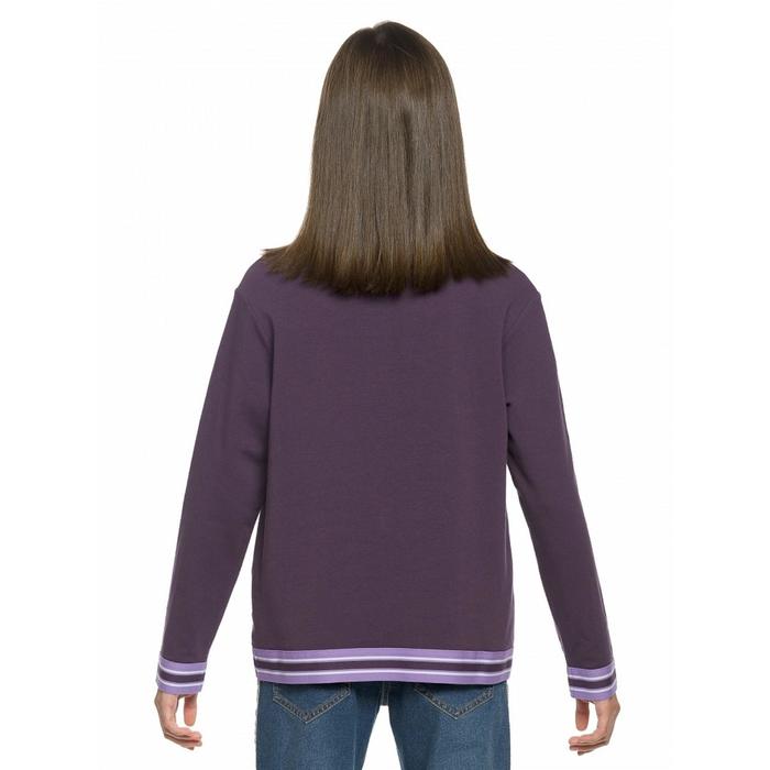 фото Толстовка для девочек, рост 116 см, цвет черничный pelican