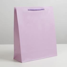 Пакет подарочный ламинированный, упаковка, «Сиреневый», ML 21 х 25 х 8 см